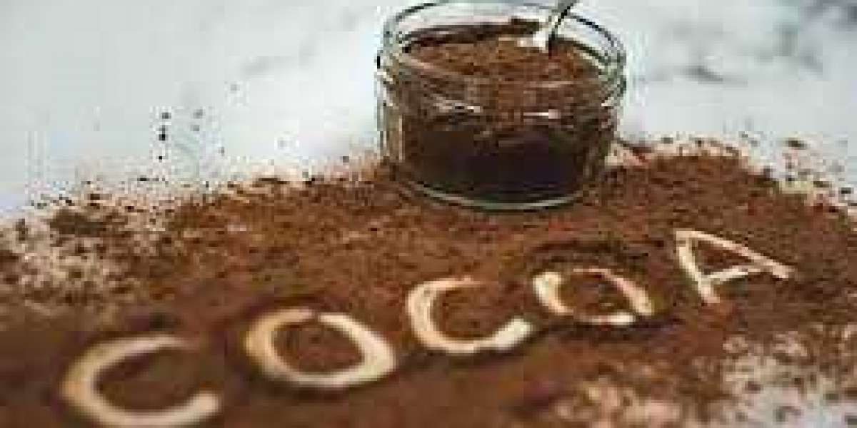 Cocoa Powder Manufacturing in Haryana: A Growing Industry with Sweet Prospects