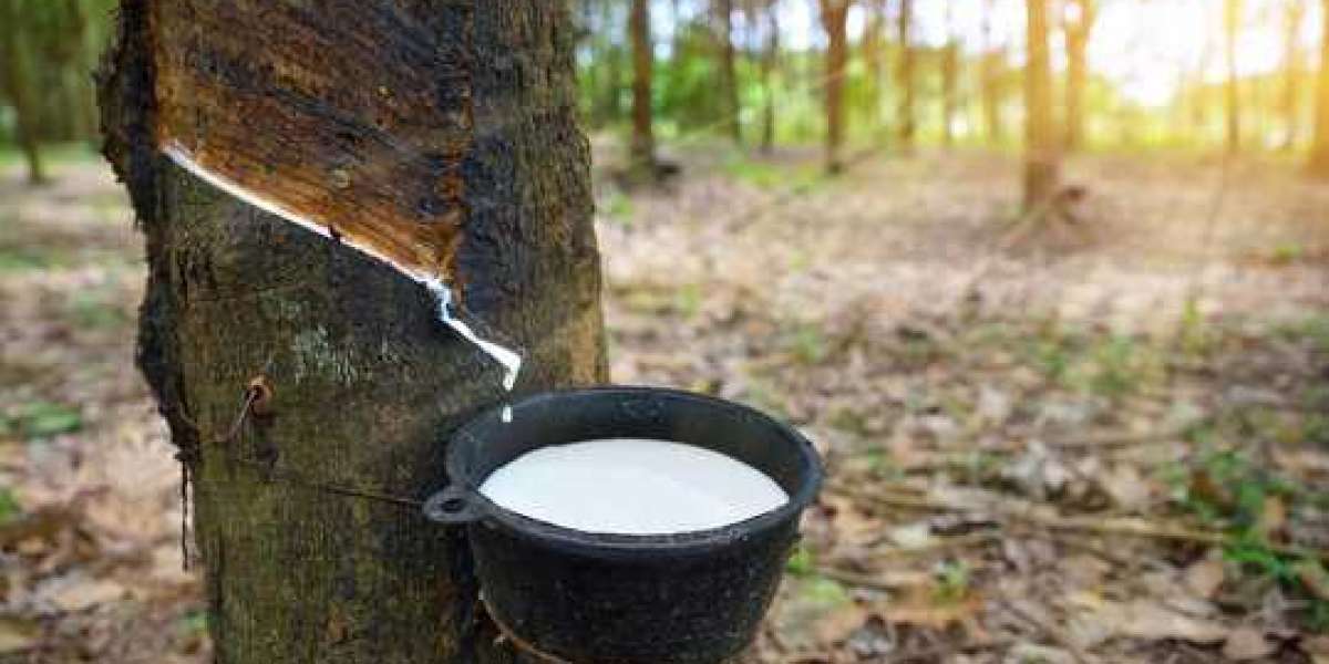 Machinery Requirements for Setting Up a Natural Rubber Manufacturing Plant