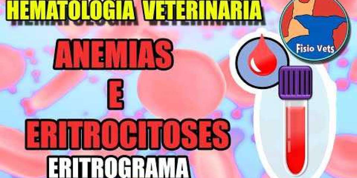 Cortisol em Dia: Como Manter o Equilíbrio Hormonal do Seu Pet