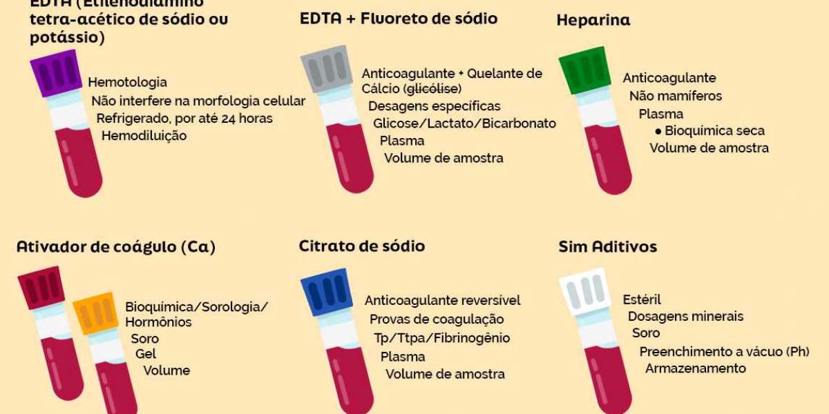 Descubra Dicas Eficazes para Potencializar a Saúde Hepática do Seu Cão!