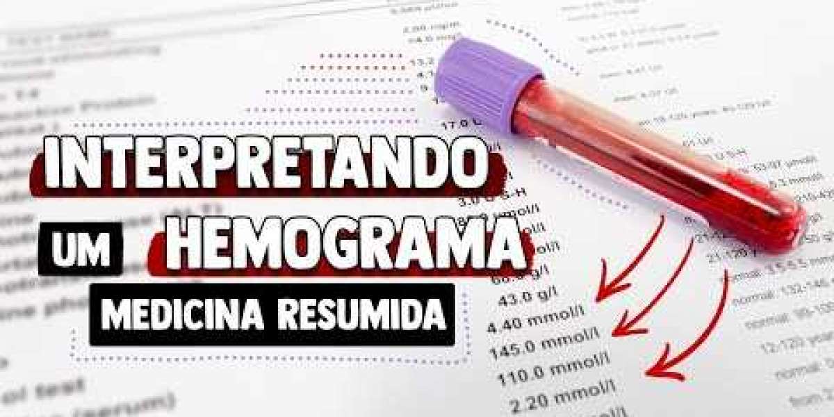 Ultrassom Veterinário 24 Horas: Cuidando do Seu Pet Sempre que Precisa