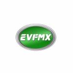 Jiangsu FMX Electric Vehicle Co Ltd Profile Picture