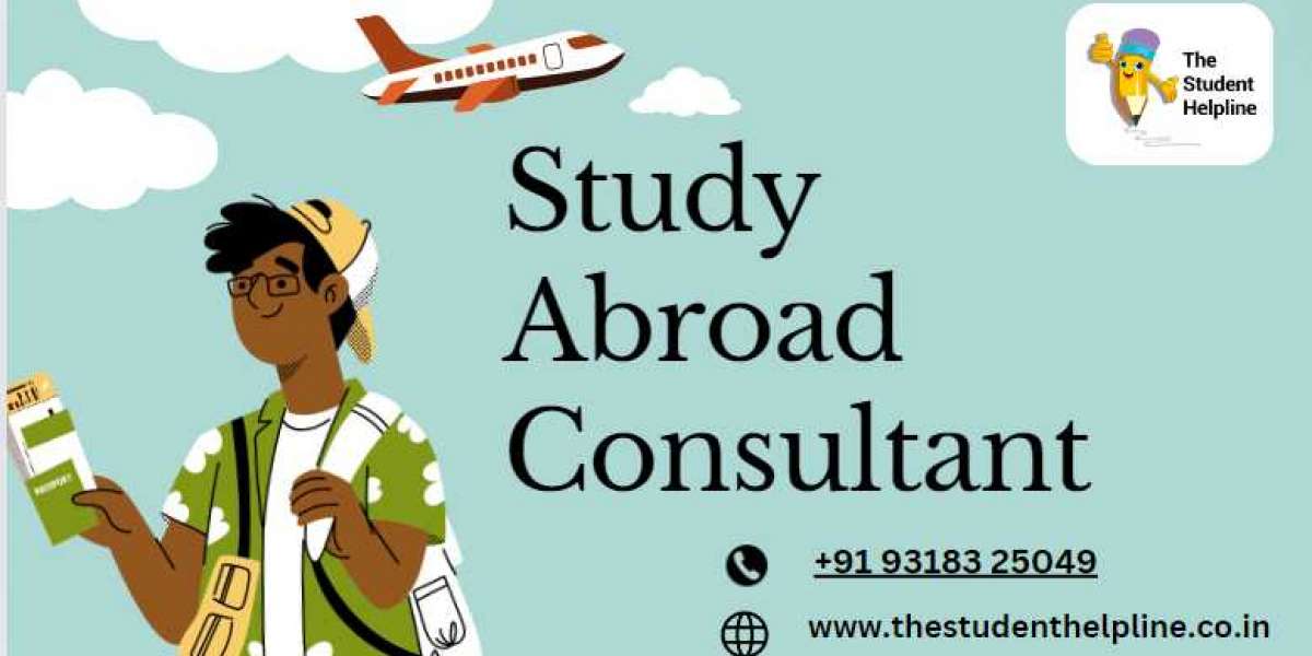 Key Qualities to Look for in a Reliable Study Abroad Consultant