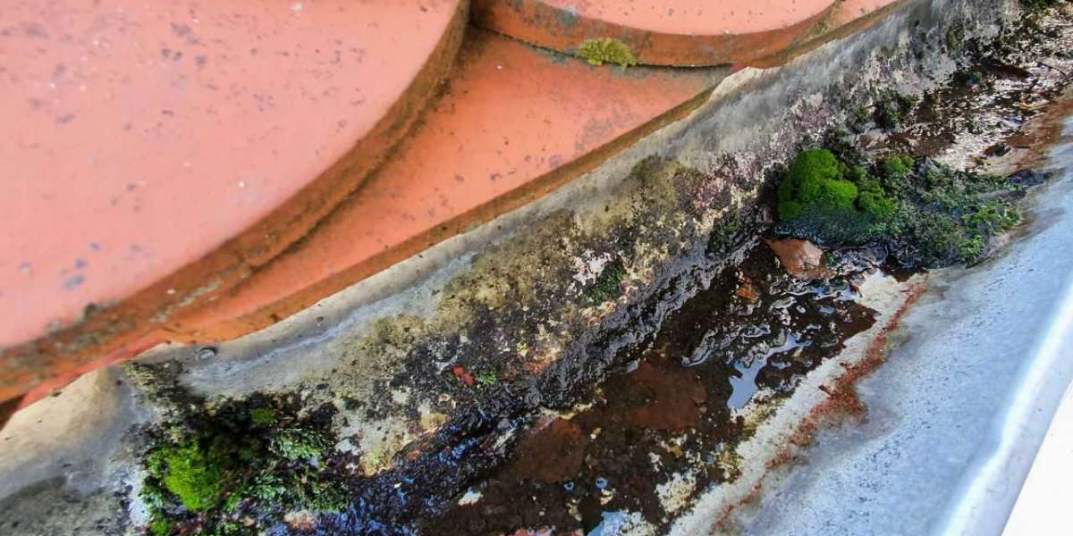 Everything You Need to Know About Gutter Cleaning Services in Brooklyn