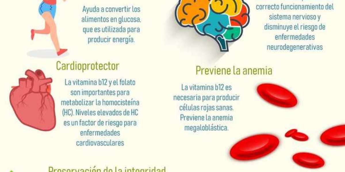 Cuáles son los beneficios del té de romero según expertos y cómo hacerlo en casa