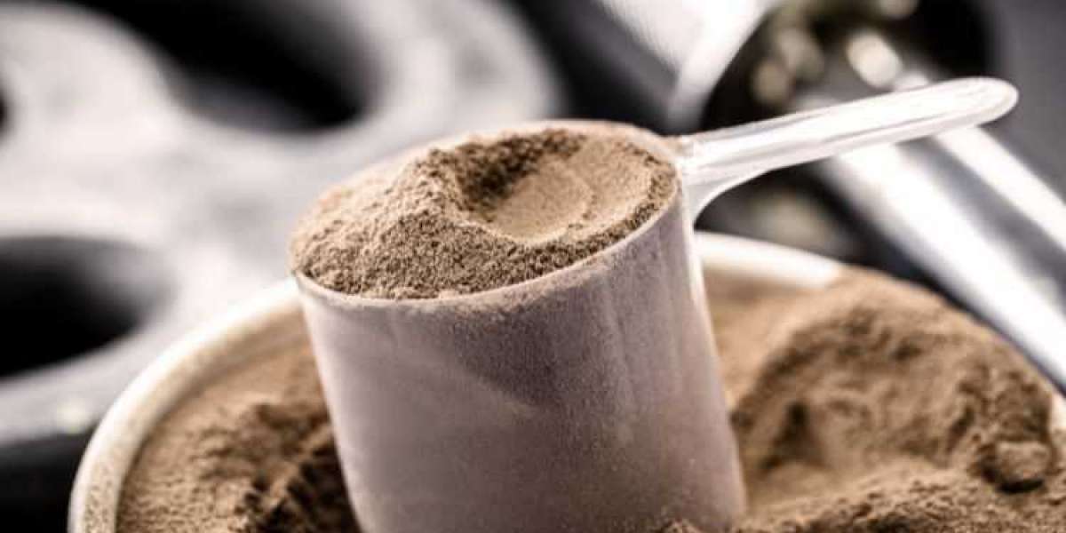 Casein Market: Insights, Growth Trends, and Future Outlook