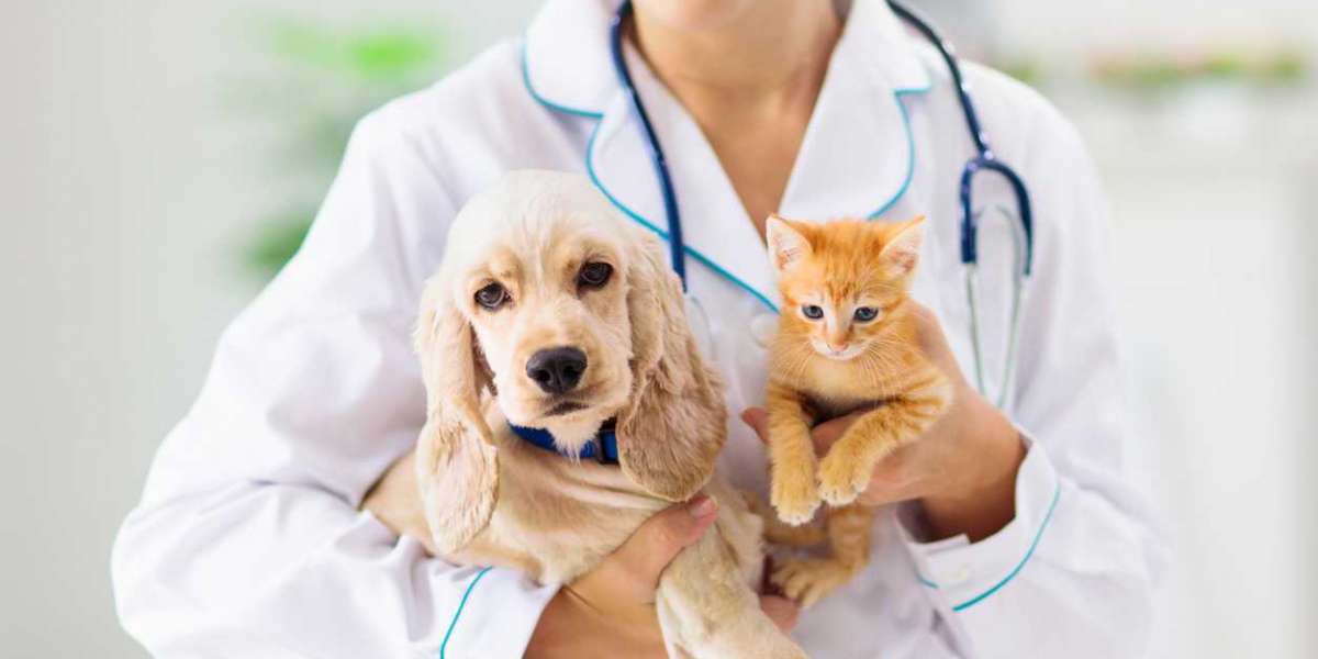 Pet Insurance Market Key Vendors, Segment, Growth Opportunities by 2024 to 2034