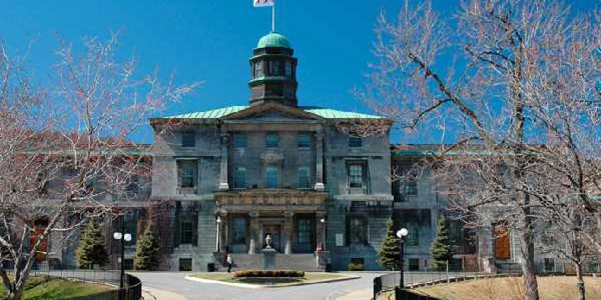 McGill University: A Comprehensive Guide to One of Canada’s Premier Institutions