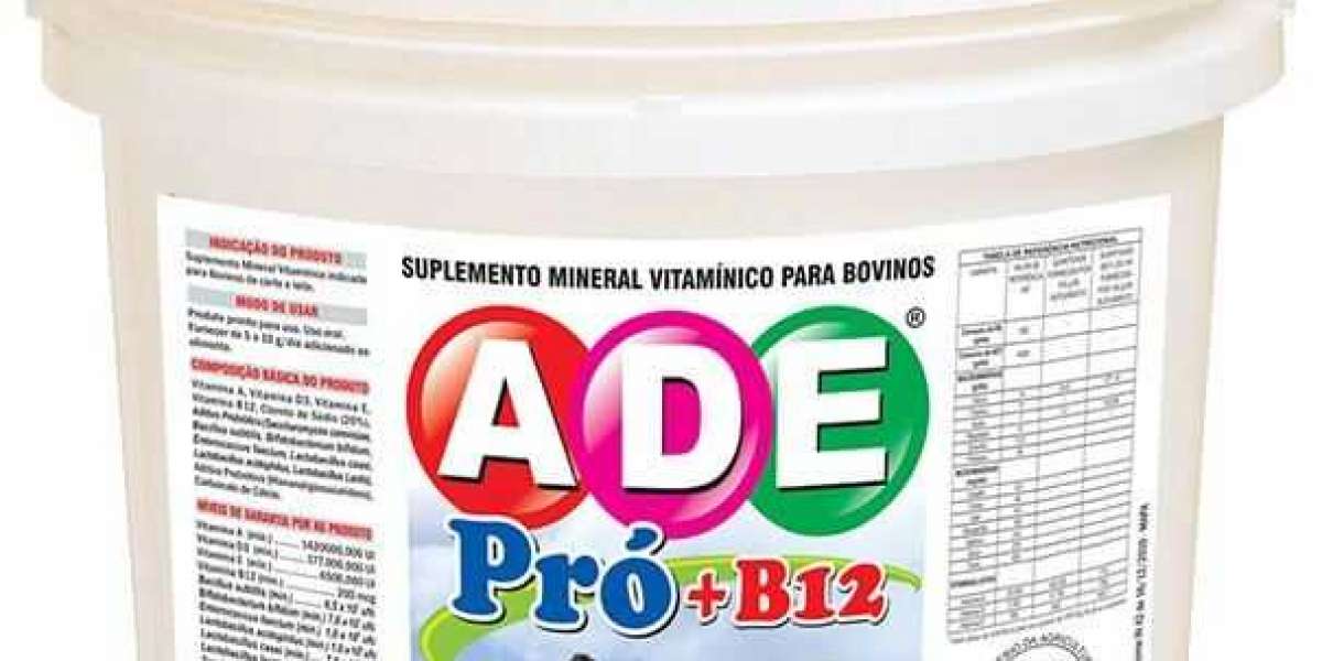 La guía definitiva sobre cómo tomar las vitaminas B12 correctamente: consejos y beneficios