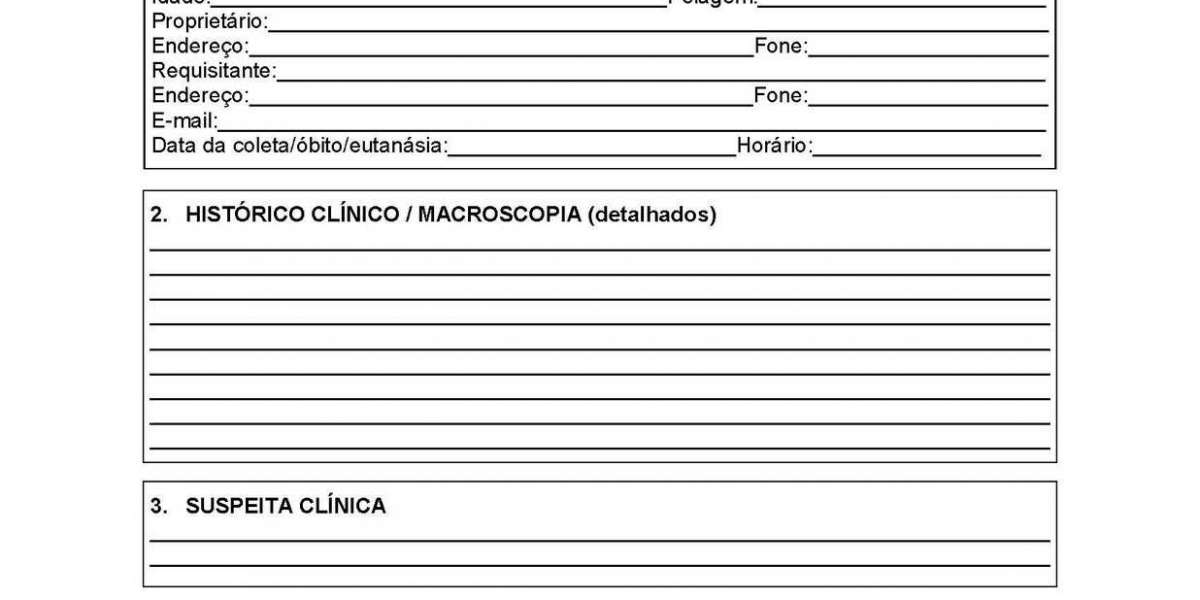 radiografía digital Solución de rayos X portátil en una mochila