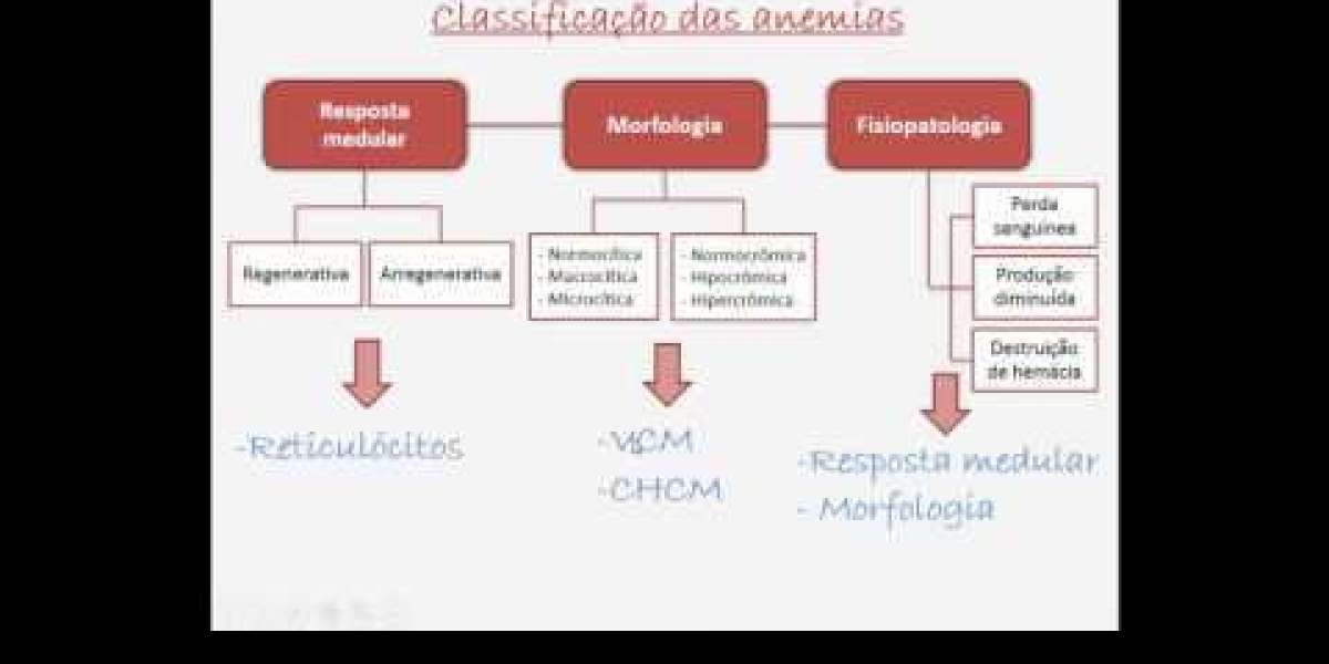 Displasia de cadera, como detectarla en cachorros