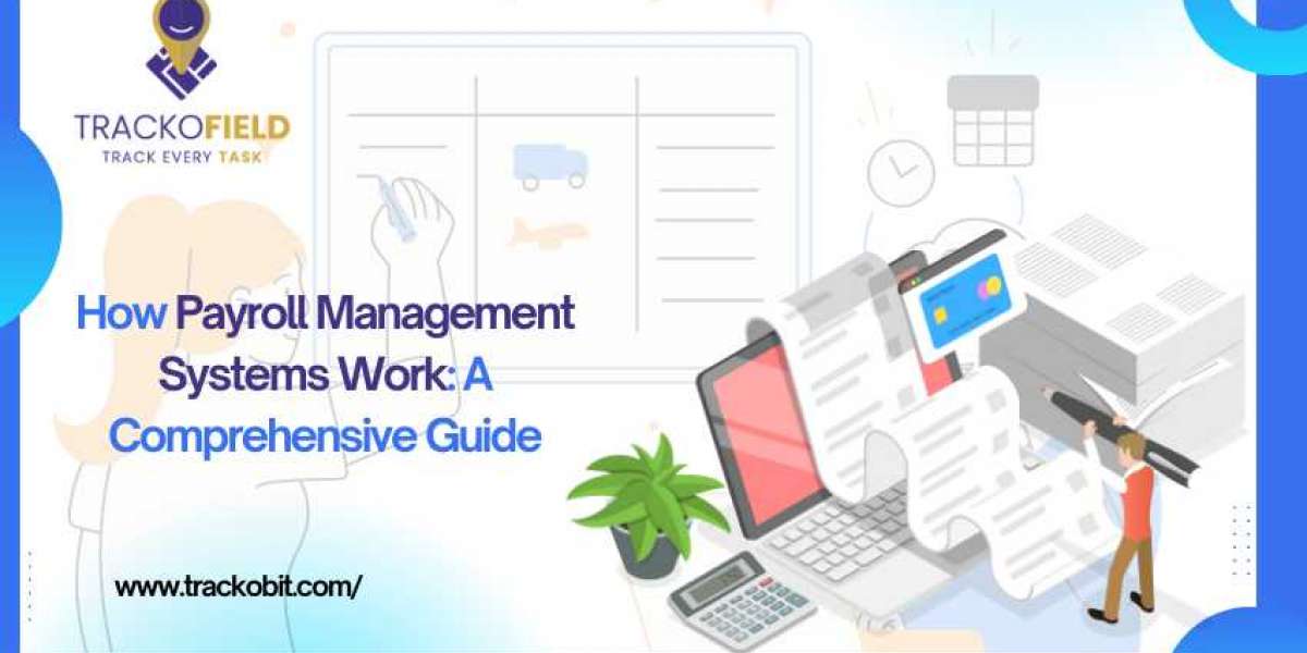 How Payroll Management Systems Work: A Comprehensive Guide