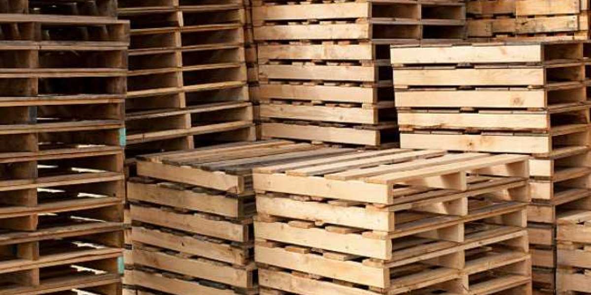 Understanding Pallets: The Backbone of Modern Logistics