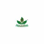 Havintha Official Profile Picture