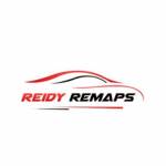 Reidy Remaps Profile Picture