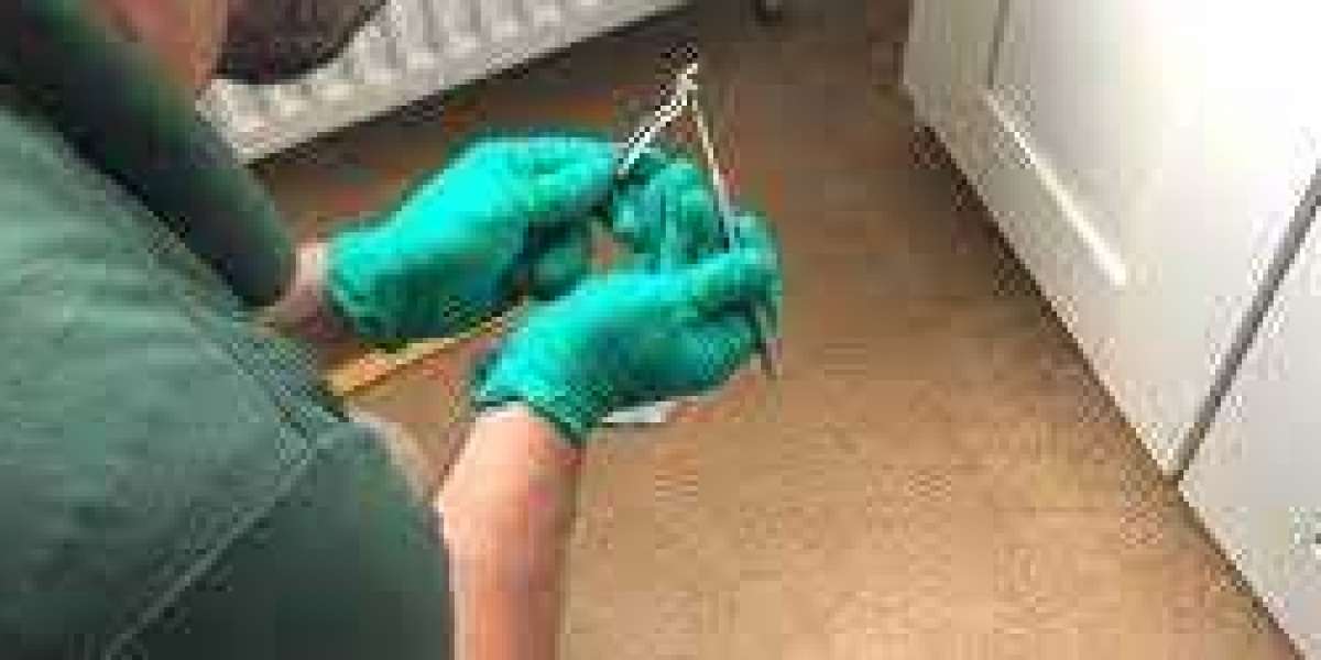 Improve Home Health and Comfort with Regular Carpet Cleaning