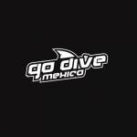 Go Dive Mexico Profile Picture