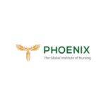 Phoenix Nursing Institute Profile Picture