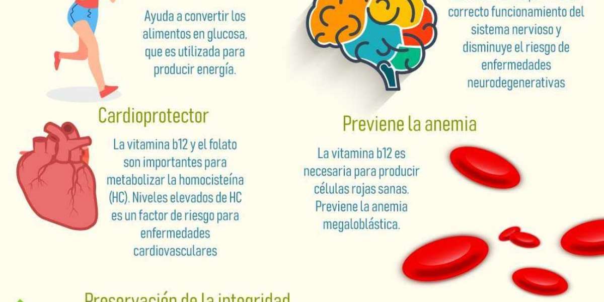 Descubre qué marca de gelatina tiene más proteínas » aela es