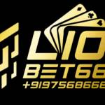 Lion bet666 Profile Picture