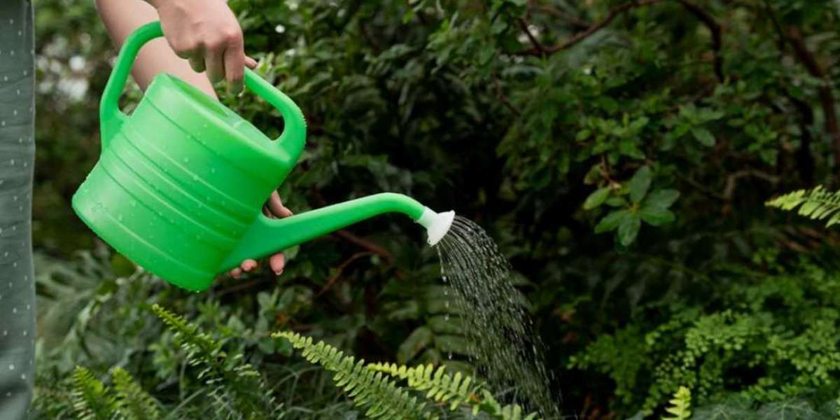 5 Liquid Fertilizers for Plants Every Gardener Should Use for Healthier Plants