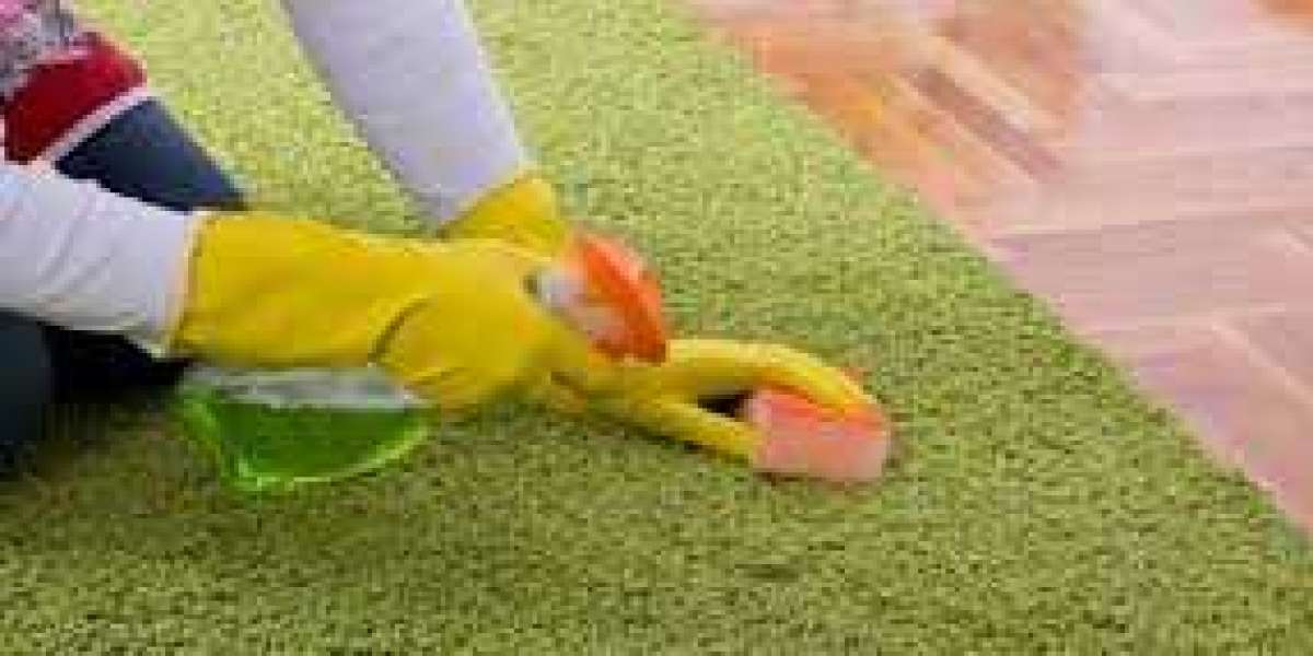 Professional Carpet Cleaning: The Secret to a Fresh Home