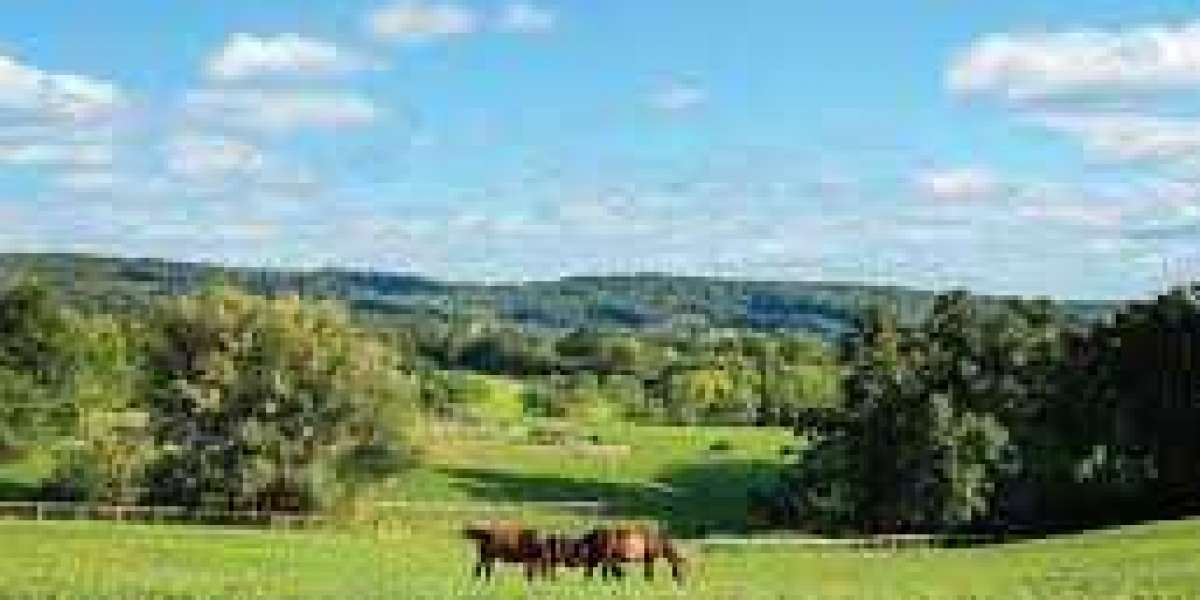 Top Horse Farms to Visit in Pennsylvania