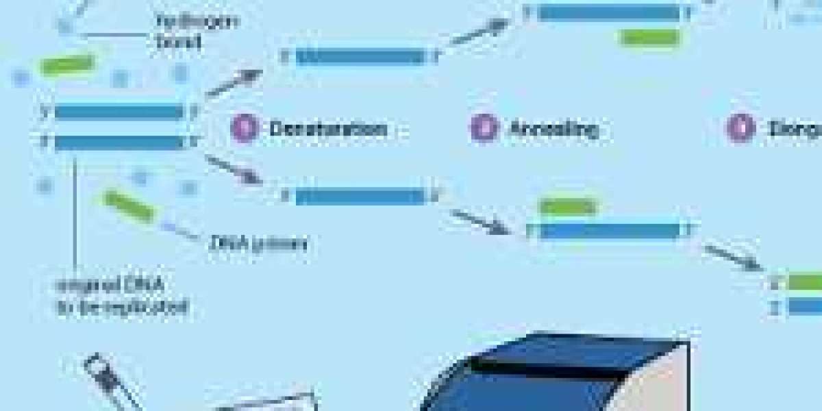 Global PCR Market Surges Toward $30.4 Billion, Growing at 5.6% CAGR