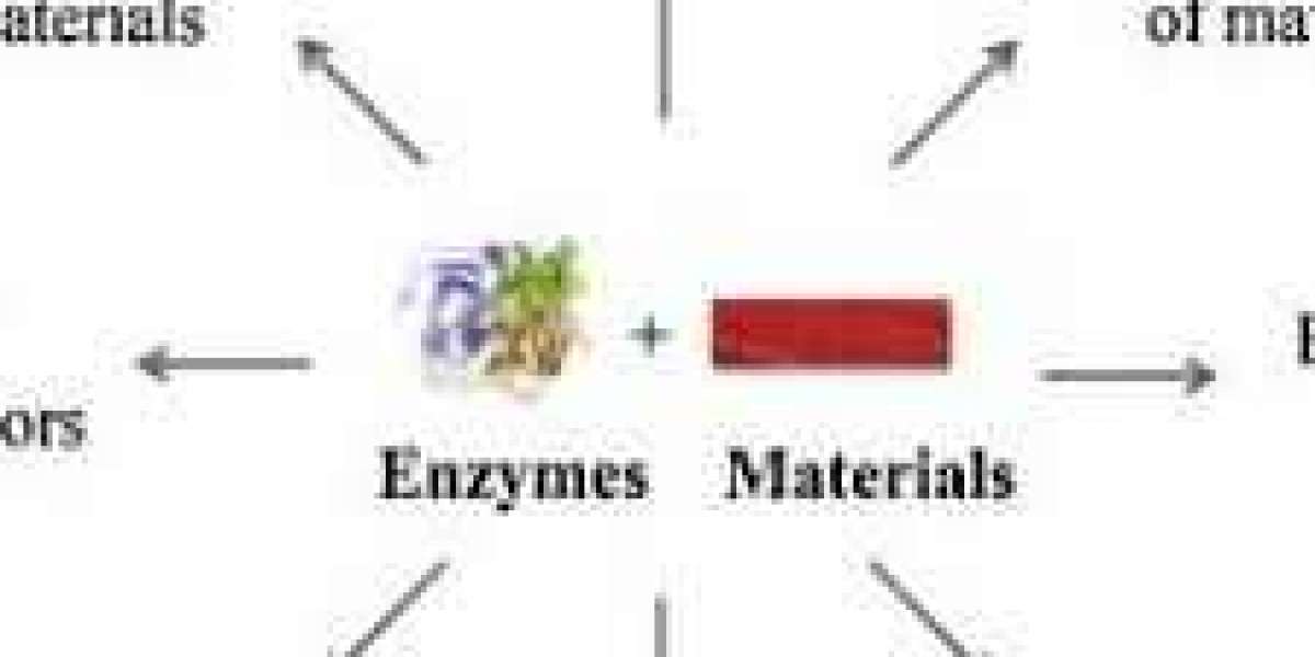 Enzymes Market to Grow to USD 27.58 Billion by 2034 with 4.9% CAGR