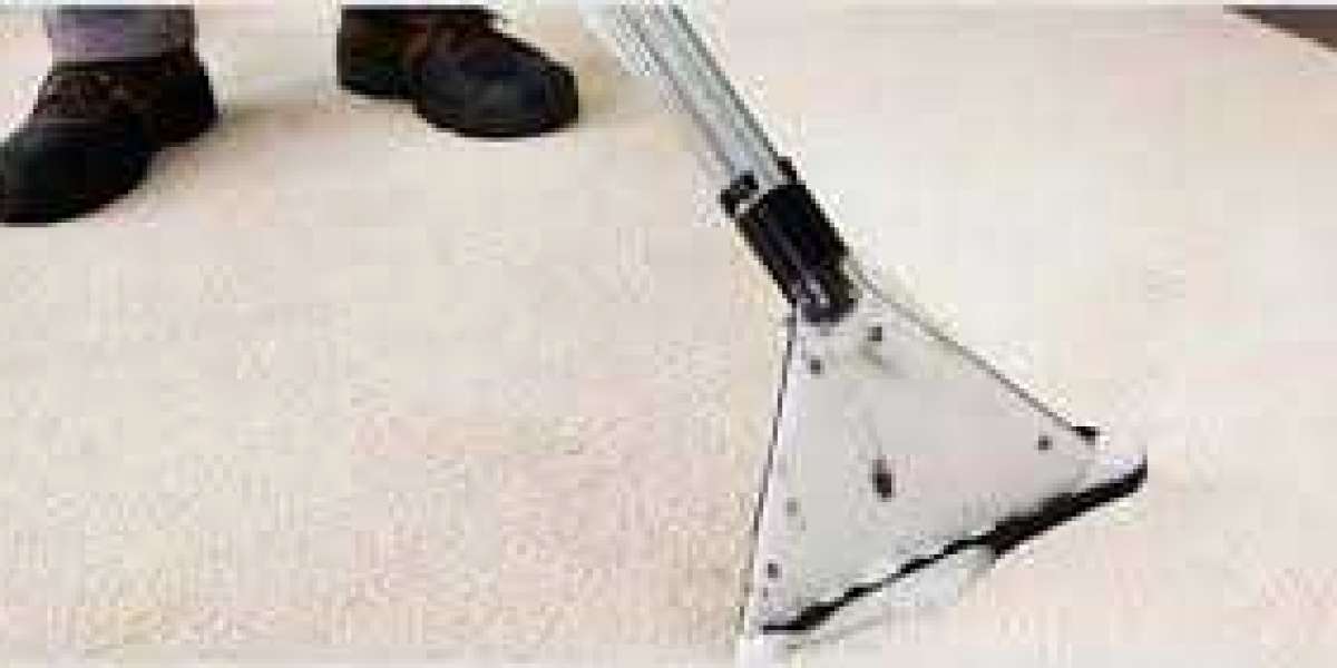 How Carpet Cleaning Transforms Your Home’s Comfort Levels