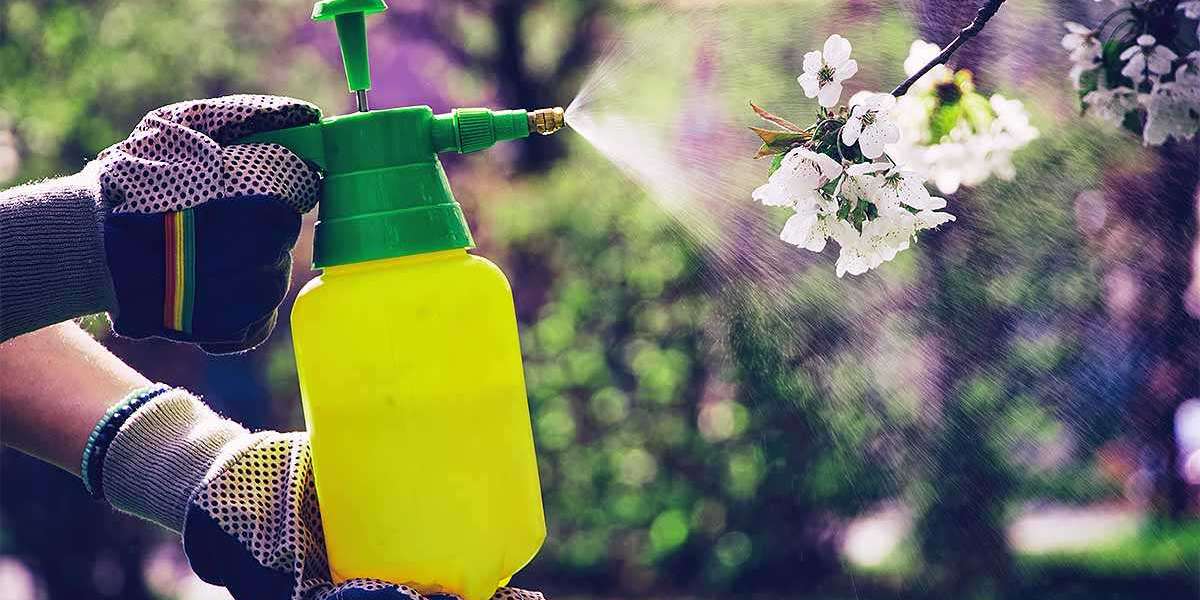 Keys to Running a Profitable Garden Sprayers Manufacturing Plant Setup Report 2024: Cost Details