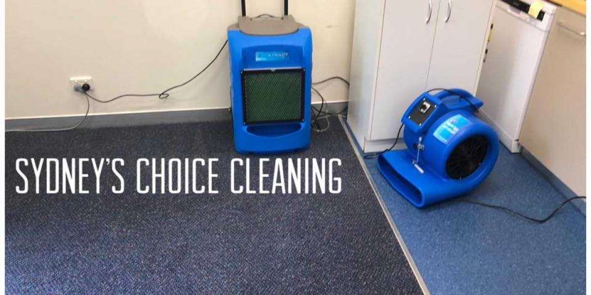 Professional Carpet Cleaning Services in Campbelltown