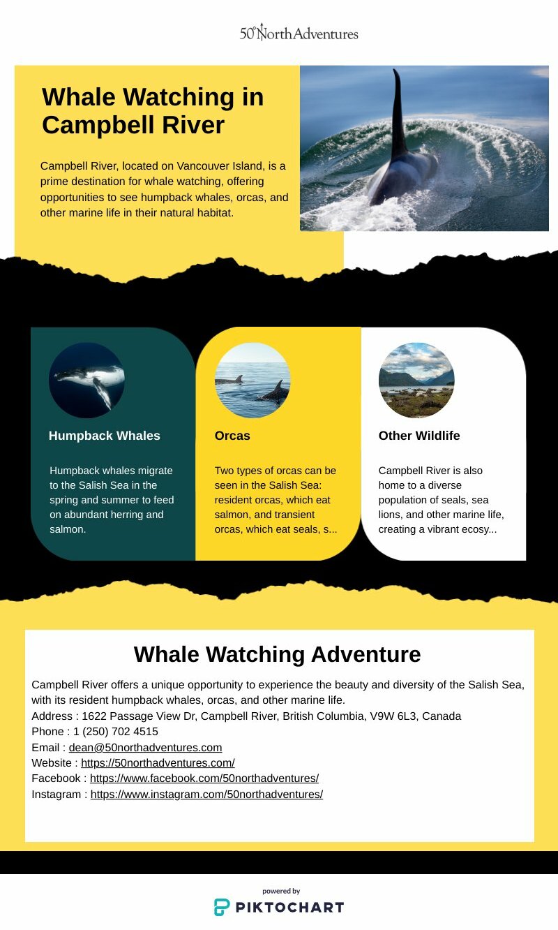 Adventure Whale Watching Campbell River | Piktochart Visual Editor