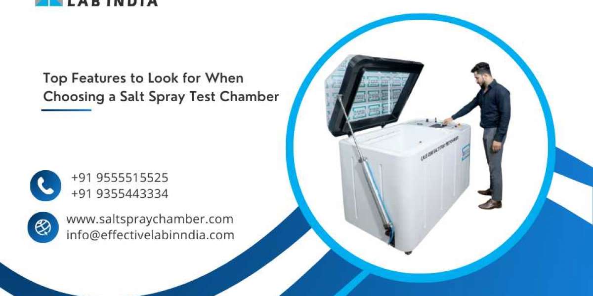 Top Features to Look for When Choosing a Salt Spray Test Chamber