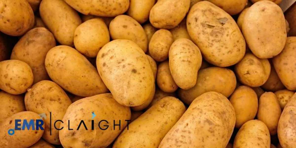 Potato Protein Market: Growth, Trends, and Future Outlook