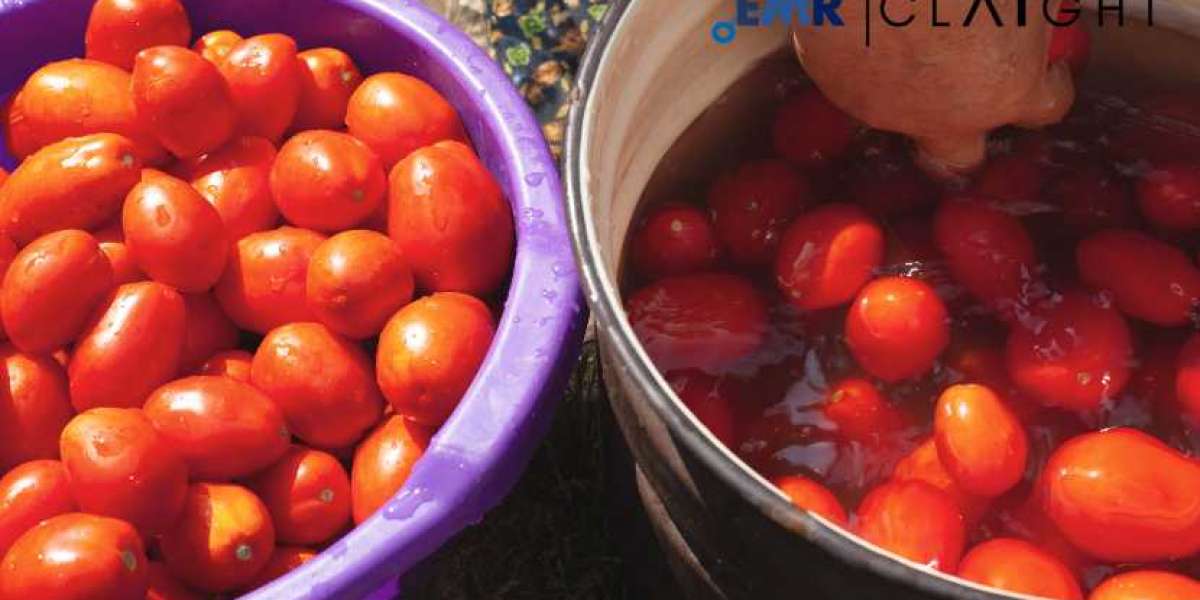 Tomato Processing Market: Trends, Growth, and Outlook for 2025-2034