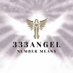 333 Angel Number means Profile Picture