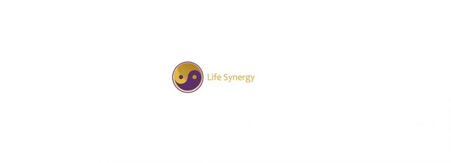 Life Synergy Retreat Cover Image