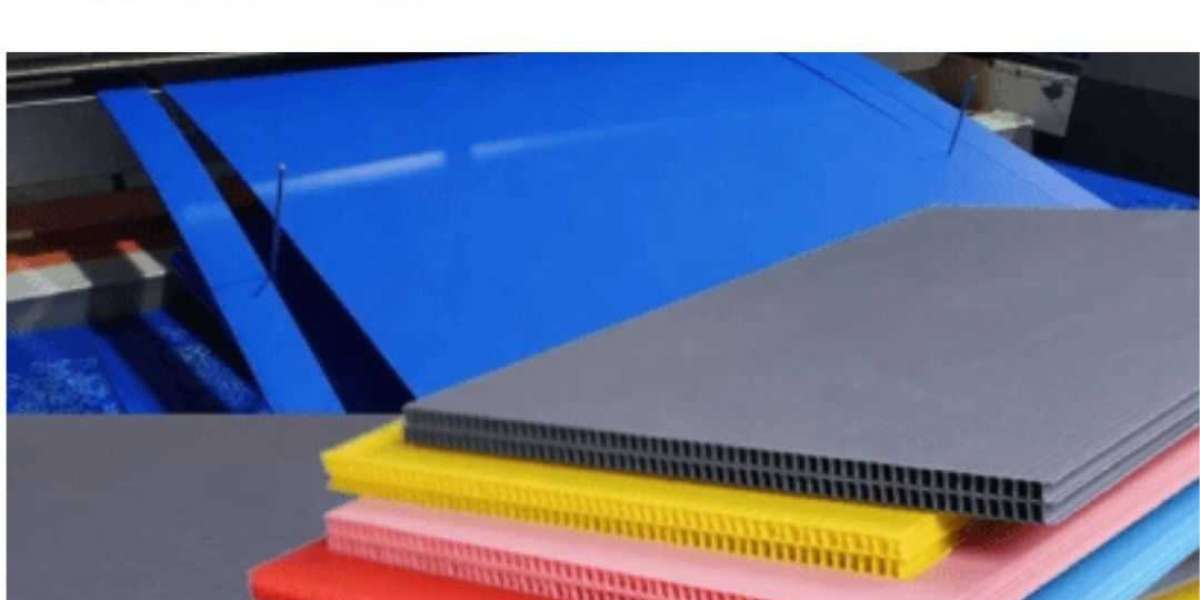 An In-Depth Look at PP Corrugated Sheets: Versatile Solutions for Modern Applications