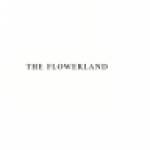 The Flower Land Profile Picture