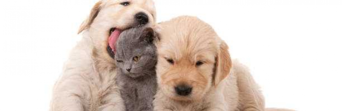 Kevin Smith Cover Image