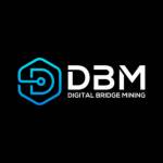 Digital Bridge Mining Profile Picture