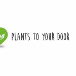 Plant door Profile Picture