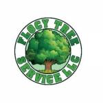 flocy tree services Profile Picture