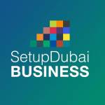 Setup Dubai Business Profile Picture