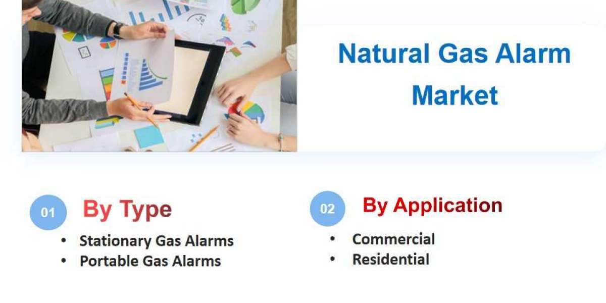 Natural Gas Alarm Market Size and Trends, 2025-2033