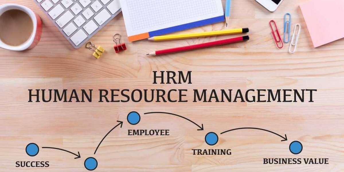 The Ultimate Guide to Hiring Human Resource Professionals to Ensure Business Success