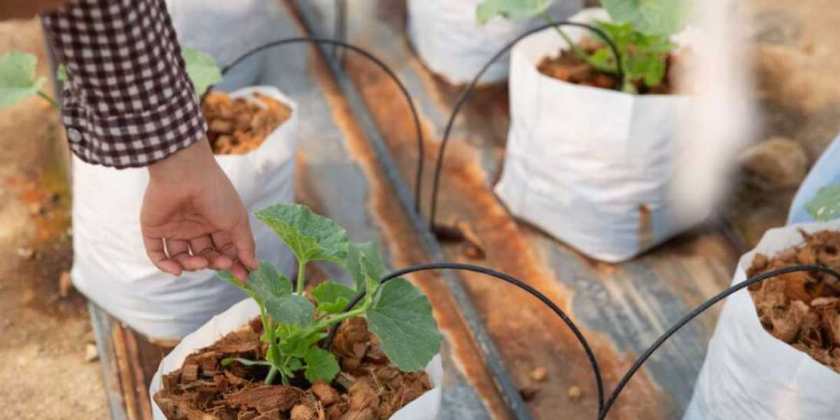 How to Create a Beautiful Herb Garden with Grow Bags