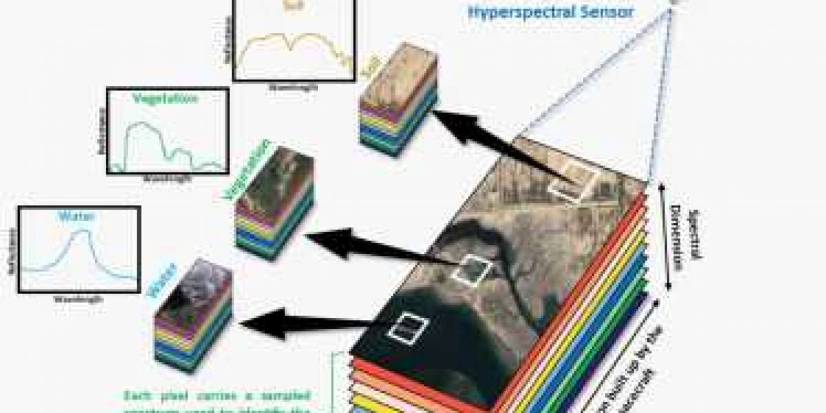 Imaging Spectroscopy Market By Type, By Application By Geographic Scope And Forecast 2024-2034