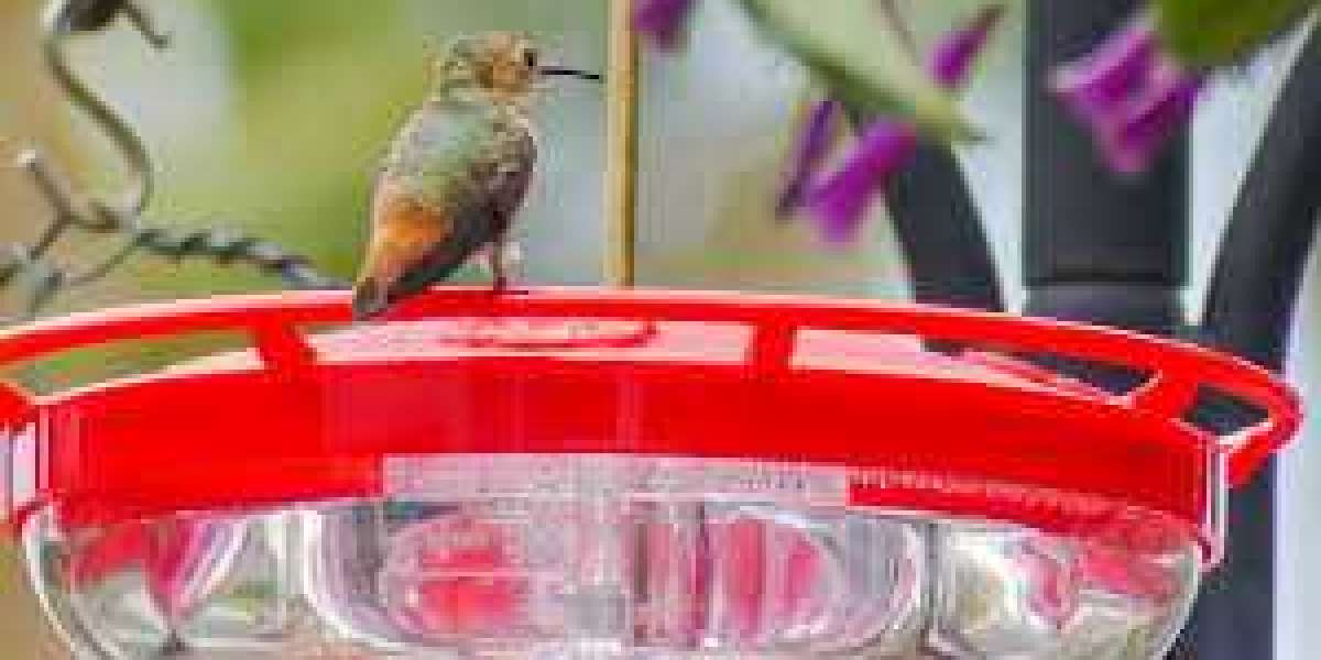 The Perfect Hummingbird Food Recipe: A Simple Guide